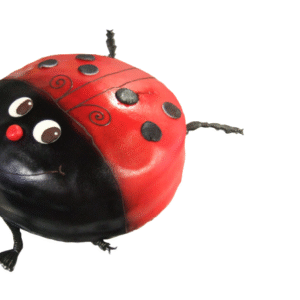 Tier Torte Marienkäfer